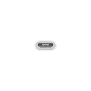 Lightning to Micro USB Adapter 